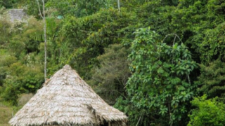 communauté indigène territoire Nairi Awari au Costa Rica