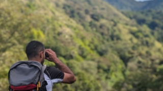 quetzal providencia de dota costa rica