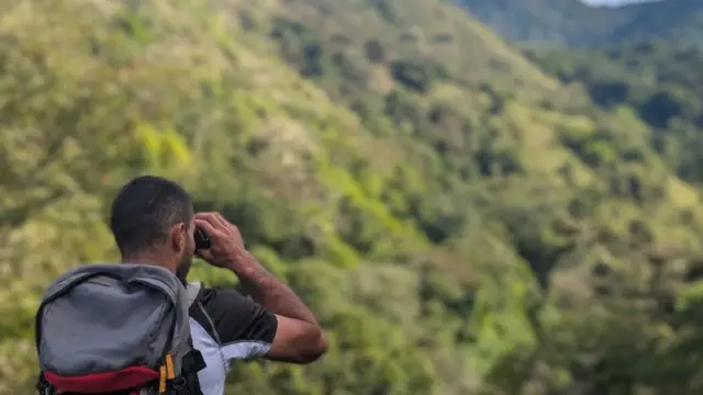 quetzal providencia de dota costa rica
