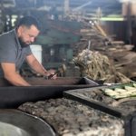 Trapiche costa rica authentique