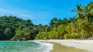 plage paradisiaque de manuel antonio