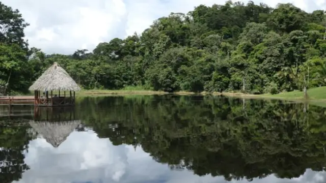 Vue du Rio San Carlos, dans la région de Boca Tapada au nord du Costa Rica