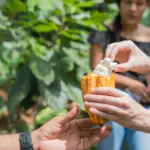 Tour de cacao - Costa Rica