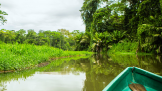 navigation sur les eaux de tortuguero au Costa Rica