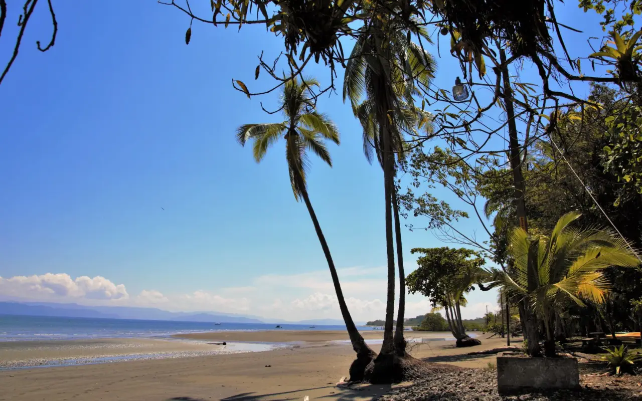 Plage du Golfo Dulce depuis la côte de Puerto Jimenez