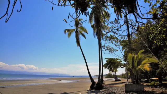 Playa Nicuesa : voyage au Sud du Costa Rica