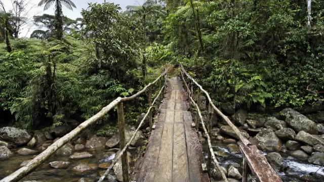 Foret de Rara avis au Costa Rica