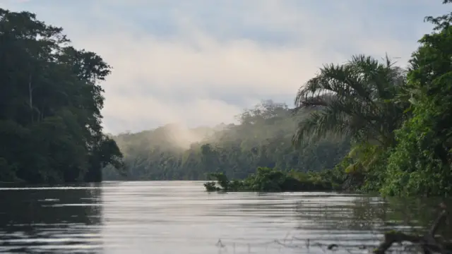 rivière Tortuguero à l'aube, avec ses nappes de brouillard, son eau calme, sa jungle