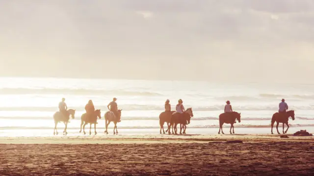 Voyage en groupe au Costa Rica
