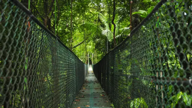 Tirimbina au Costa Rica