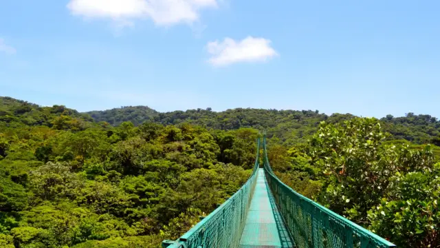 Canopée a Monteverde au Costa Rica