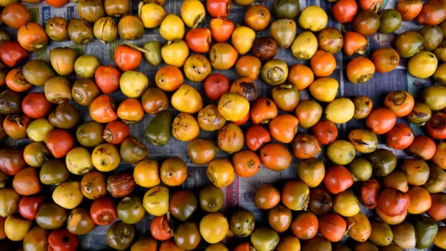 Fruit du Costa RIca