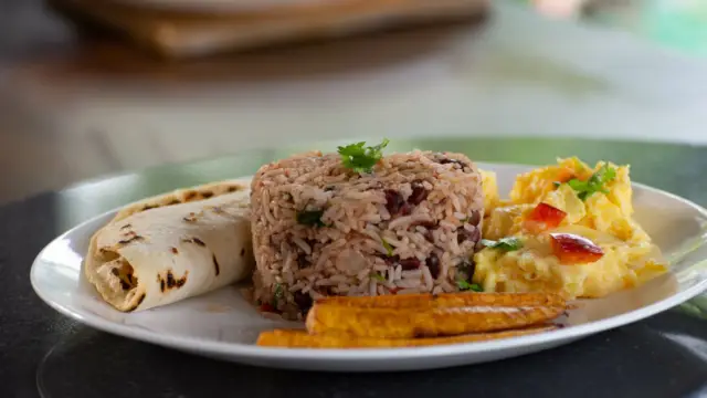 Le Gallo Pinto, une tradition culinaire du Costa Rica