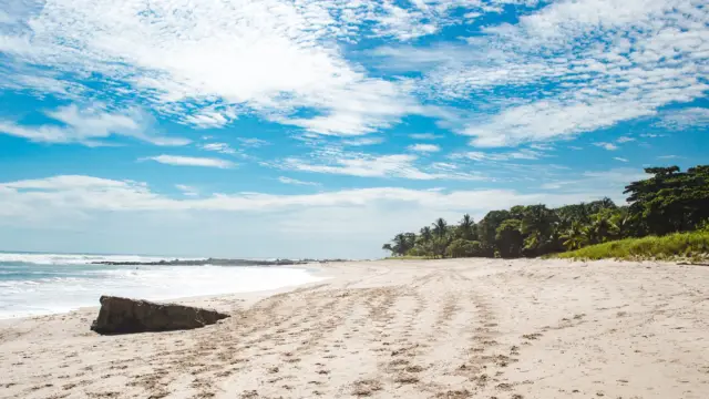 Playa montezuma au Costa Rica - voyage ornithologique costa rica