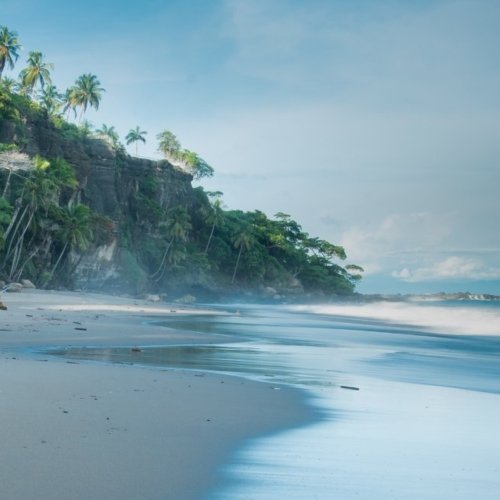 Le secret des zones bleues du bonheur