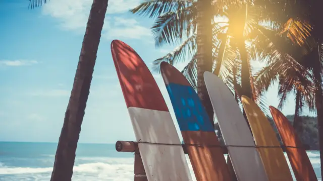 <b>Le Surf</b> au Costa Rica