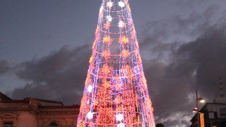 arbol de navidad san josé
