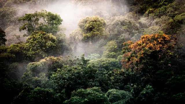 Parcs nationaux et réserves