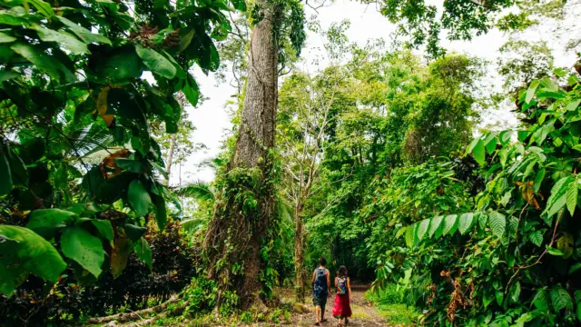Parc national de Corcovado au Costa Rica