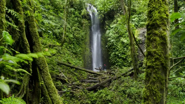 Parc international de la Amistad