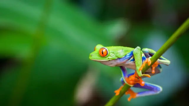 <b>Le Costa Rica</b> en bref
