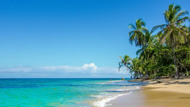 Les plus belles plages du Costa Rica <br><b> Caraïbes et Pacifique</b>