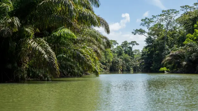 Riviere de Tortugero au Costa Rica