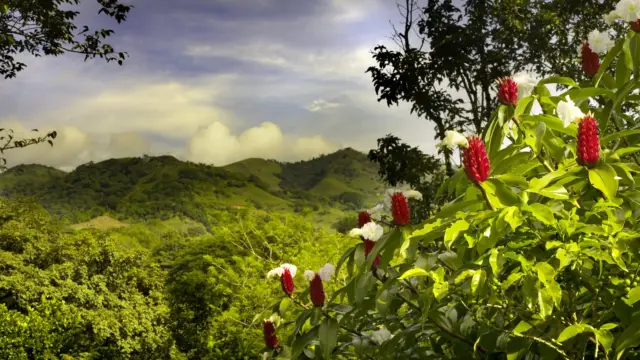 Paysage typique du Costa Rica - immersion nature 