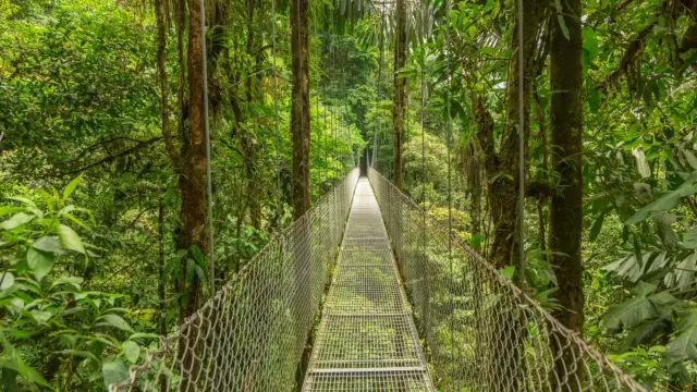 pont suspendu costa rica