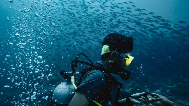 Plongée au Costa Rica