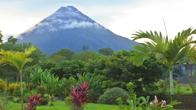 Volcan Arenal voyage ornithologique costa rica 