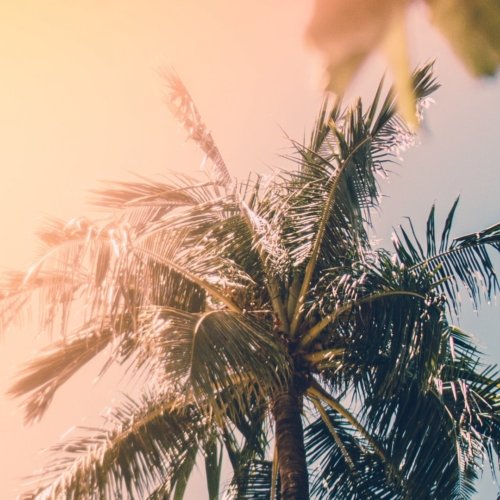 Bocas del Toro, une interlude tropicale dans un cadre paradisiaque