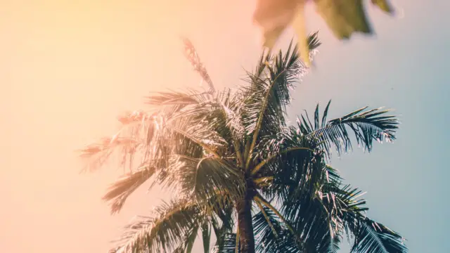 Bocas del Toro, une interlude tropicale dans un cadre paradisiaque