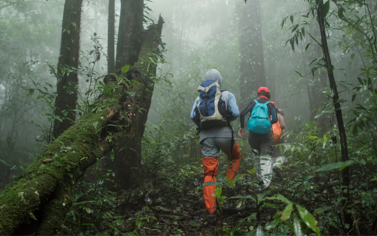 Trek au Costa Rica : la traversée des Caraïbes au Pacifique