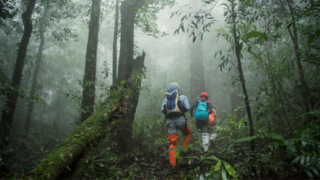 Trek au Costa Rica : la traversée des Caraïbes au Pacifique