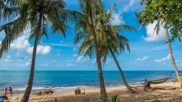 Paysage de plage du Costa Rica 
