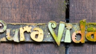  PURA VIDA COSTA RICA 