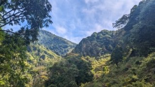 Comment Terra Caribea sélectionne ses partenaires au Costa Rica ?