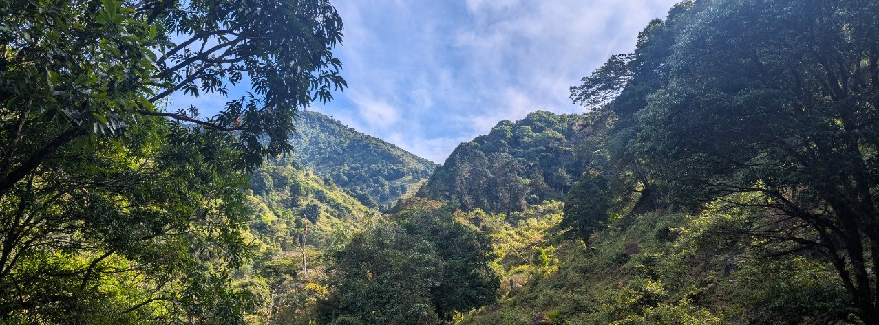 Paysage Dota Quetzal costa rica