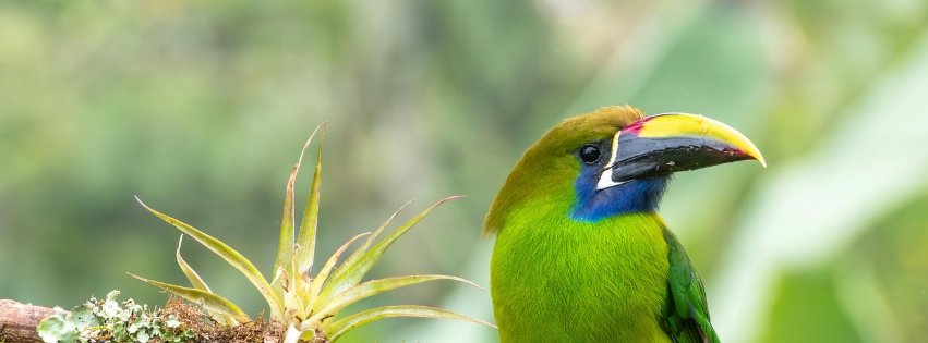 Voyager au Costa Rica pour mieux comprendre et protéger la biodiversité