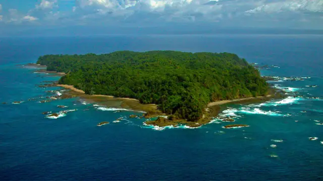 Isla del Caño, site de plongée incontournable du Costa Rica