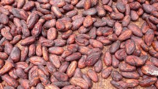 Défi Immersion – plongez au cœur des communautés du Costa Rica & du Panama !