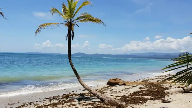 Photo d'une plage du parc national de Cahuita 