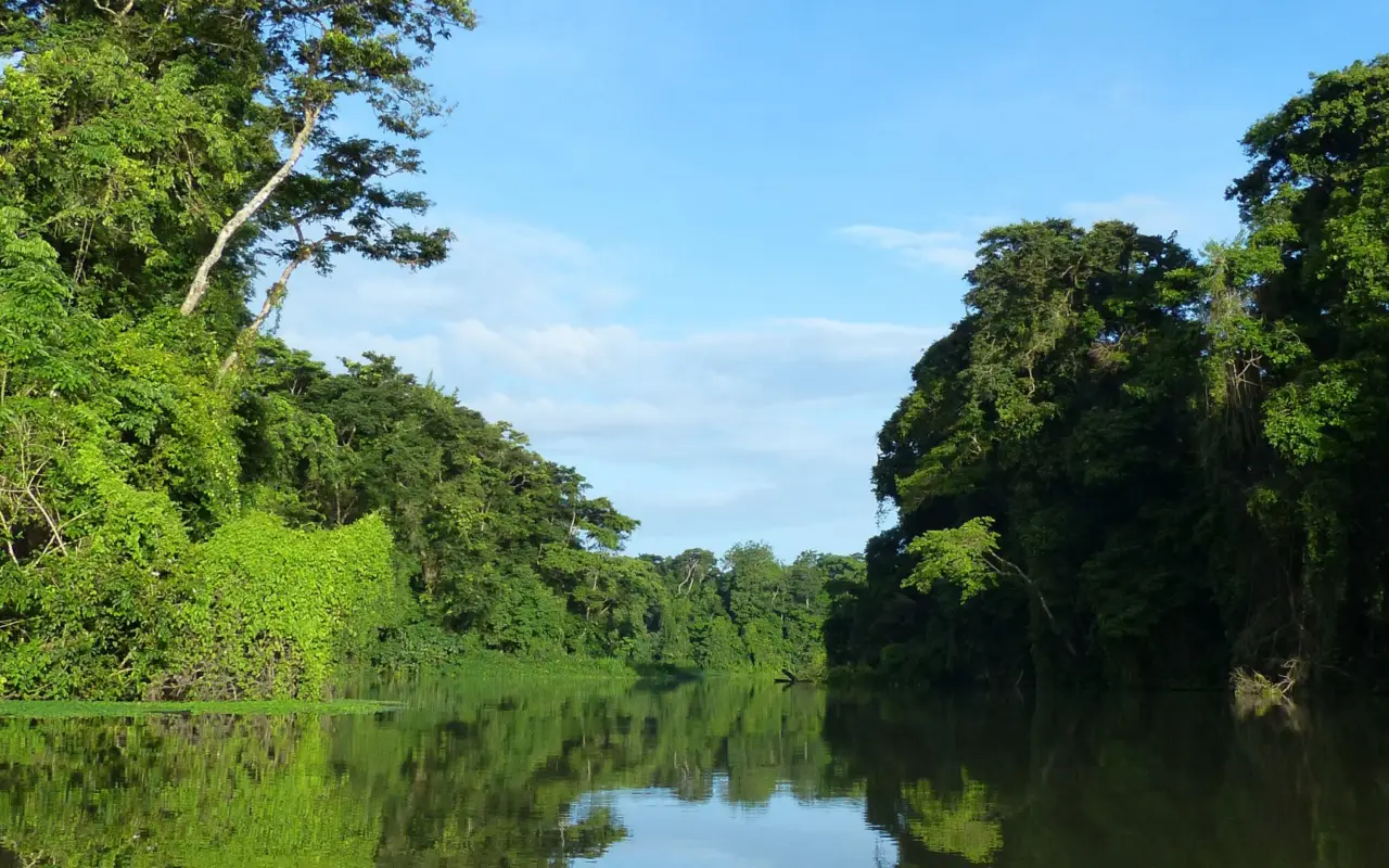 Le parc national de Tortuguero et ses canaux de mangrove