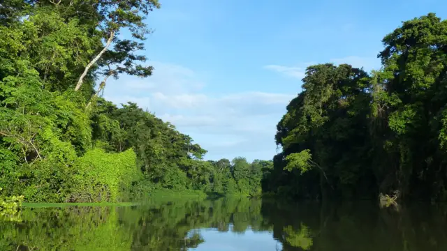 <b>Tortuguero ou la petite Amazonie</b><br> du Costa Rica