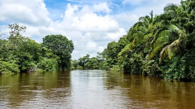 Rivière caño negro costa rica