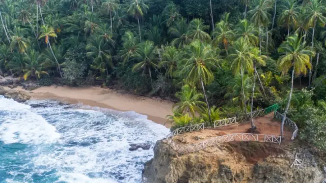 Parc de Manzanillo sur la cote Caraibes du costa rica