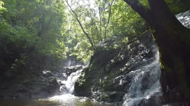 Cascade de la Malanoche, dans la région de Nosara, sur la côte Pacifique du Guanacaste au Costa Rica