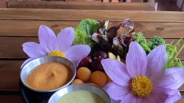 Repas gastronomique à l'hôtel Cedrela de Copey de Dota
