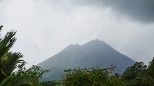 volcana renal mystique